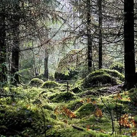 Alppimaja By Interhome Ferienhaus Patiala