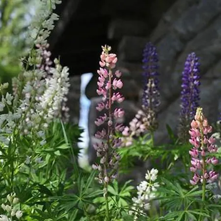 Alppimaja By Interhome Patiala