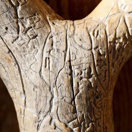 Alppimaja By Interhome * Patiala