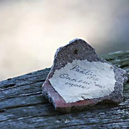 Alppimaja By Interhome Ferienhaus Patiala