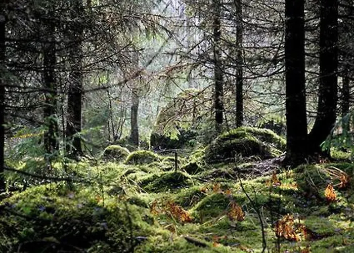 Alppimaja By Interhome Tatil Evi