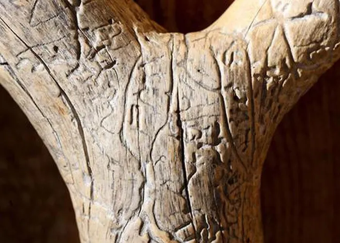 Alppimaja By Interhome Tatil Evi