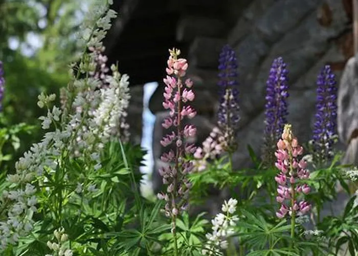 펜션 Alppimaja By Interhome *